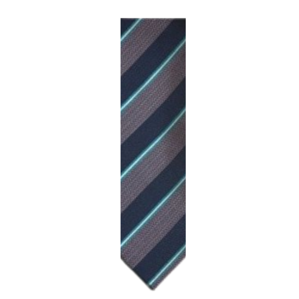 Blue/Purple Vince Camuto Tie