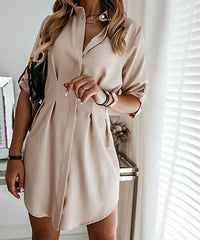 Charlie Charlotte Pleat Shirt Dress size S