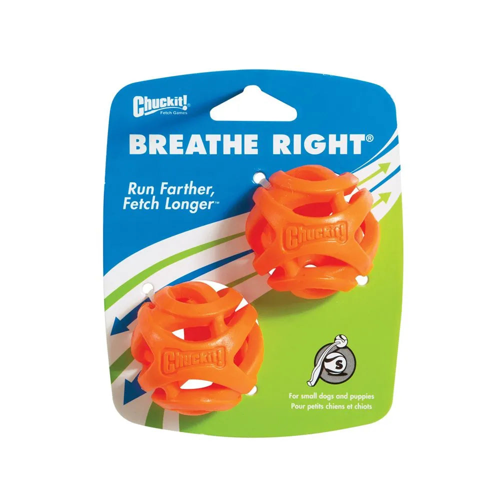Air Fetch Ball - Small