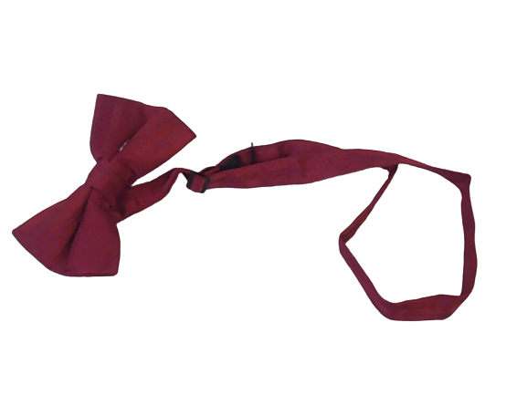 Dan Smith Striped Bow Tie