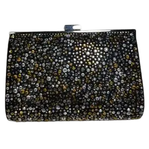 INC International Concepts INC Loryy Embellished Sparkle Clutch with Long Chain (New with Tags)