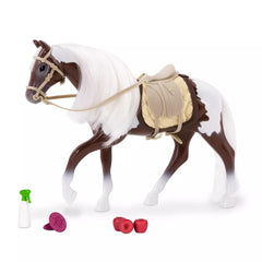 Lori - Pinto Horse