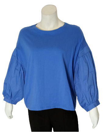 Blue Love J Long Sleeve Blouse