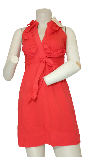 Minuet ruffled pleated waist dress