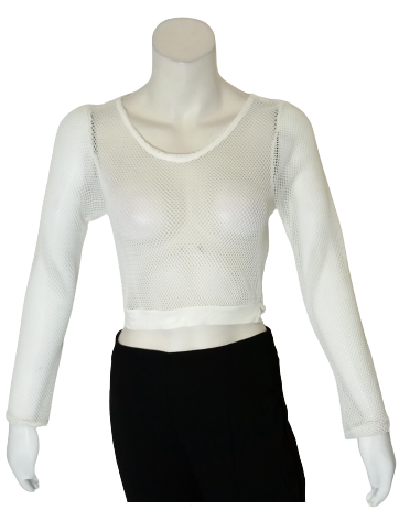 Glitz Mesh Long Sleeve Blouse